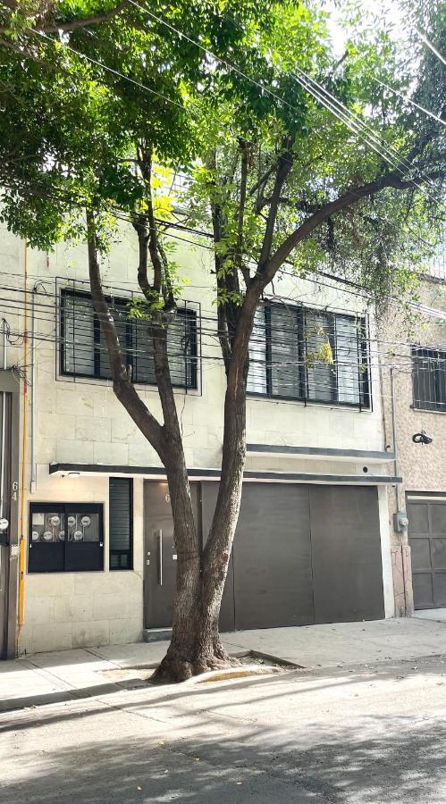 Condesa Lives * Mexiko-Stadt